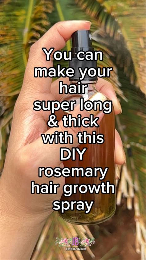 How to Make Rosemary Water for Hair Growth | Rosemary water, Hair growth diy, Hair growth spray