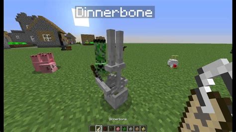Dinnerbone In Minecraft