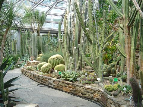 File:Botanical Garden Berlin - Cacti House.jpg - Wikipedia, the free encyclopedia