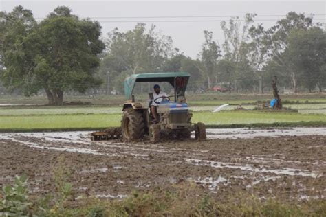 NRIs cannot buy agricultural land in India - Livemint