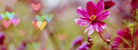 Cute Heart Flowers Facebook Covers for Timeline. | Facebook cover ...