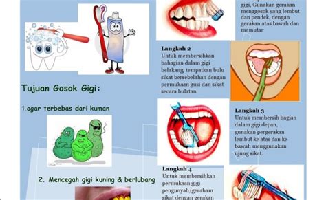 5 Langkah Menggosok Gigi Dengan Baik Dan Benar Serba Tutorial – Otosection