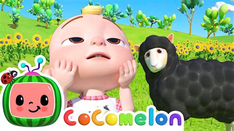 Baa Baa Black Sheep! | CoComelon Animal Time | Animal Nursery Rhymes Chords - Chordify