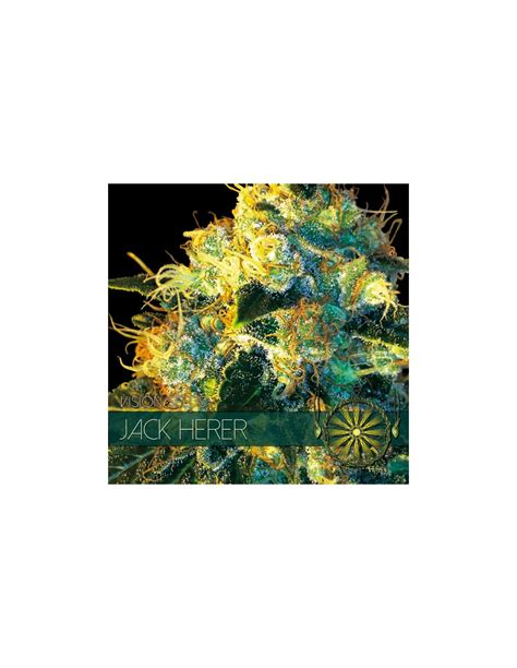 Jack Herer (Vision Seeds) Feminized Seeds | Up To 30% Off