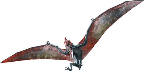 Jurassic World Fallen Kingdom: Pteranodon by sonichedgehog2 | Jurassic world fallen kingdom ...