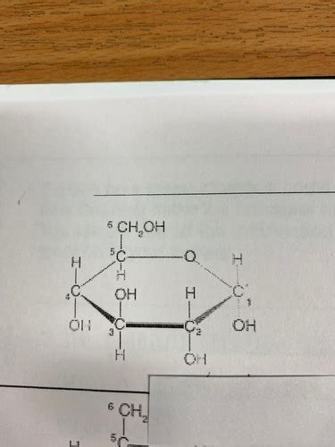 biochemistry diagrams Flashcards | Quizlet