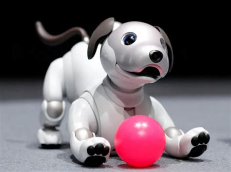 Robot pet dog is back, with new tricks