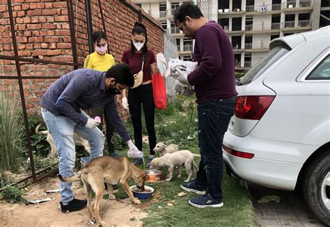 FEEDING STRAY DOGS - Hand