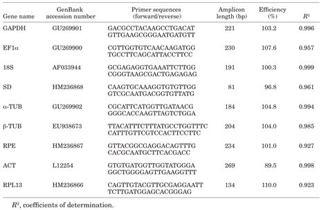 housekeeping gene list