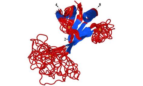 Bioinformatics computer programs help biologists understand intrinsically disordered proteins