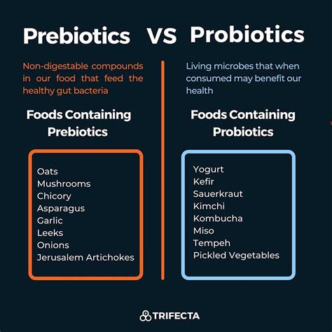 Prebiotics vs. Probiotics: Key Differences and Gut Health Explained