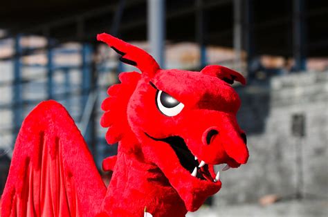 Traditional Welsh Costume: A Brief History - Welsh Treasure