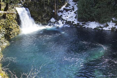 Tamolitch Falls and the Blue Pool, Oregon | Once a majestic … | Flickr