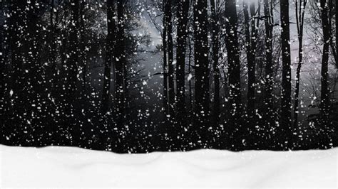 Snow Forest Wallpapers - Wallpaper Cave