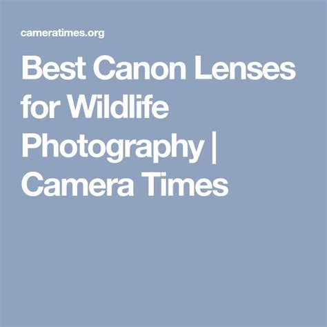 Best Canon Lenses for Wildlife Photography | Wildlife photography camera, Best canon lenses ...