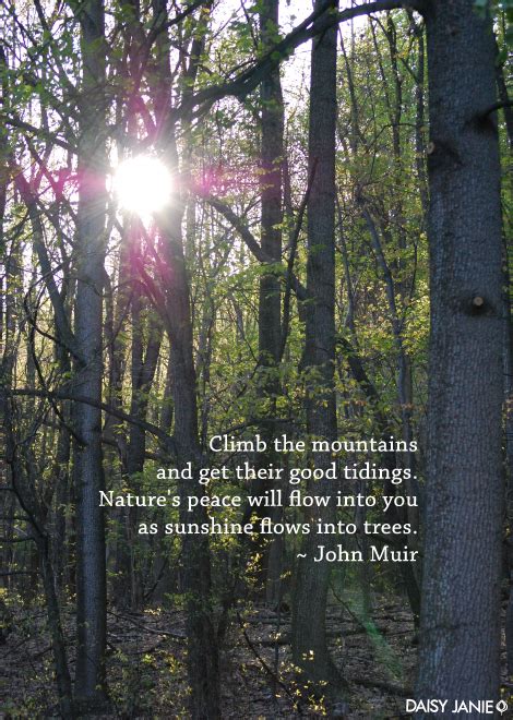 Trees John Muir Quotes. QuotesGram