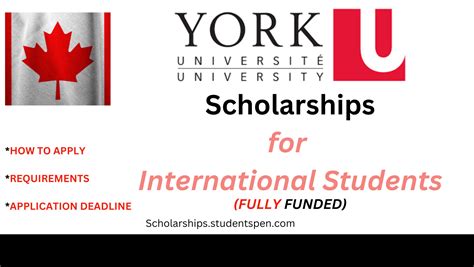 York University Scholarship 2023/2024 | How to Apply - Applyscholars