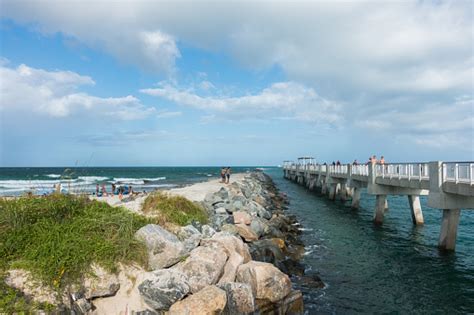 Miami Beach Park Stock Photo - Download Image Now - 2020, Beach, Beauty ...