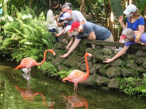 Flamingo Gardens: 4 great reasons to visit this oasis in city