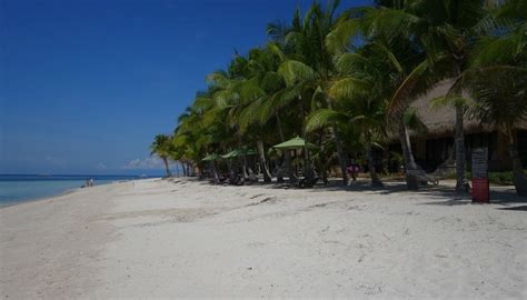 5 Best beaches in Panglao island, Philippines - Ultimate guide ...