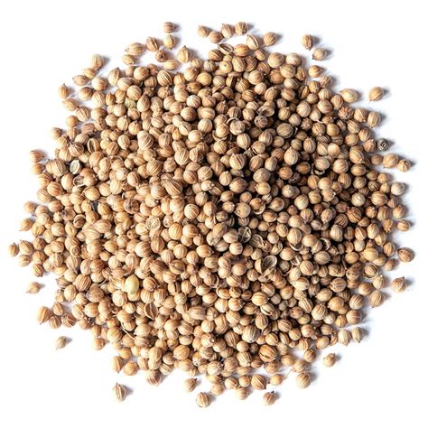 Organic Coriander Seeds Buy in Bulk from Food to Live