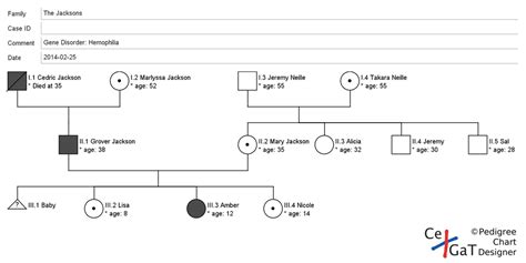 Inheritance - Hemophilia Genetics