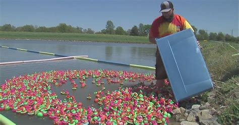 Duck race helps raise money for people undergoing cancer treatments | News | wsiltv.com