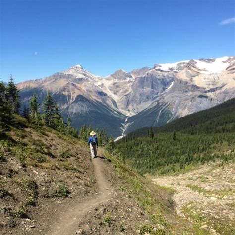 Yoho National Park Hiking Tour in B.C. | Timberline Adventures