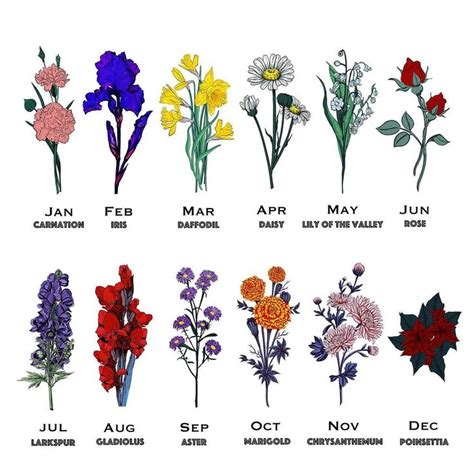 Pin by Chloe Sykes on Design | Birth flowers, Birth flower tattoos, Flower tattoos