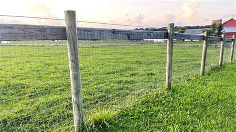 No Climb Fence - Horse Safe and Maintenance Free