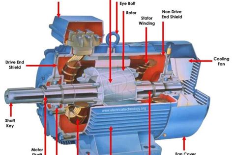 THREE-PHASE INDUCTION MOTOR - Electrorules