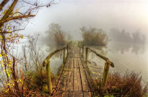 Foggy autumn morning | Autumn morning, Foggy, Nature