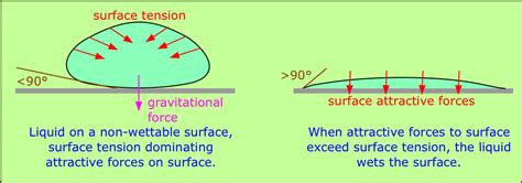 Water and its structure