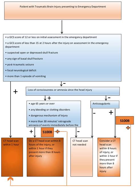 JPM | Free Full-Text | Significance of S100B Protein as a Rapid Diagnostic Tool in Emergency ...