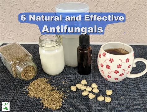 7 Most Effective Natural Antifungals (and how to use them) | Healthy Home