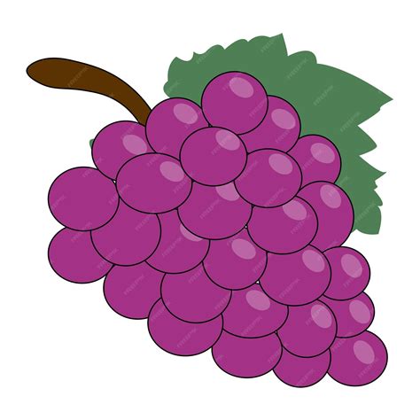 Premium Vector | Coloring book for kids grapes vector