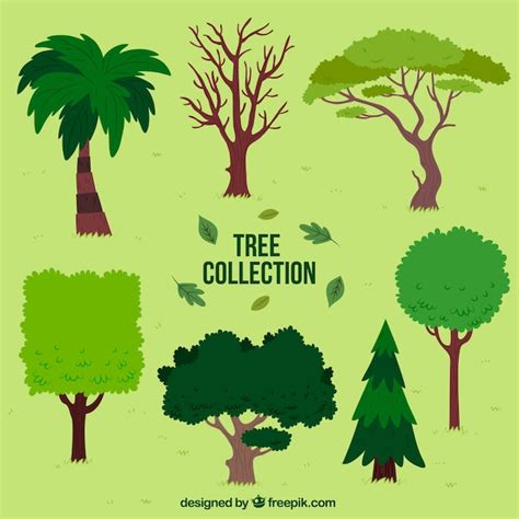 Free Vector | Collection of seven trees