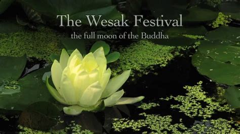 THE WESAK FESTIVAL - the full moon of the Buddha - YouTube