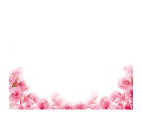 Pink Rose Border Pink Rose Petals Png - Clip Art Library