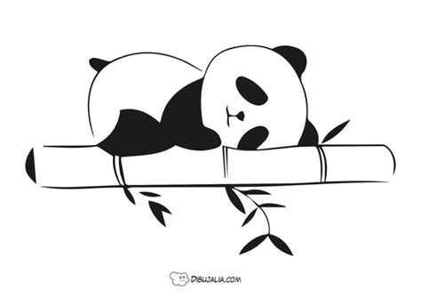 Oso panda durmiendo - Dibujo #1299 - Dibujalia - Dibujos para Colorear ...