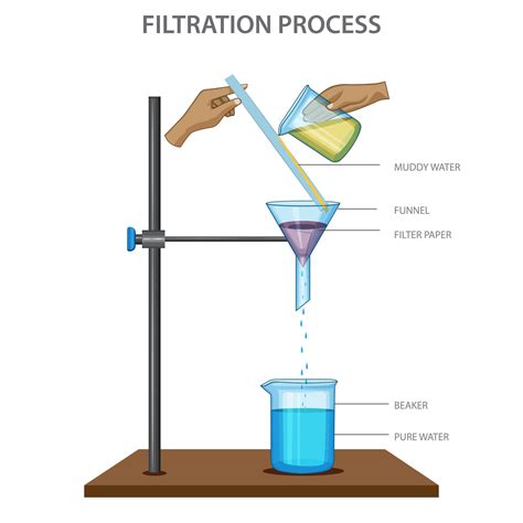 Filtration Chemical Experiment Separation Process Vec - vrogue.co