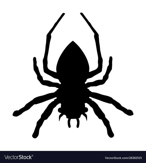 Spider silhouette isolated black widow Royalty Free Vector