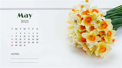 Download "Organize your May 2023 with this beautiful calendar wallpaper ...