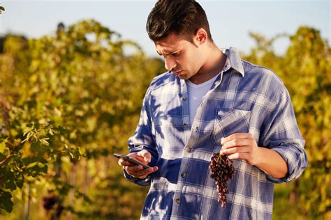 Viticulture technology for a perfect wine pairing - Insight