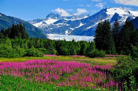 30 Amazing Places to Visit in Alaska (National Parks & More)