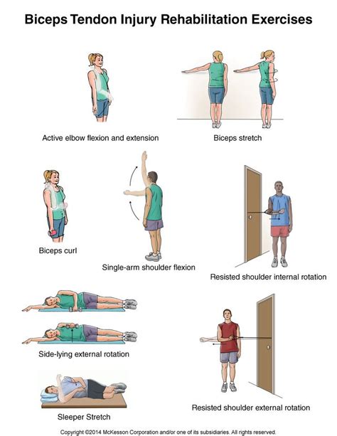 Maybe this will help. | Bicep tendonitis, Bicep tendonitis exercises ...