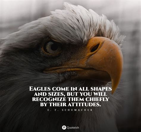 Eagle Quotes Wallpapers - Wallpaper Cave