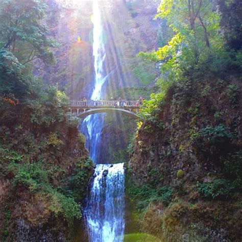 The Best Walking and Hiking Trails in Portland, Oregon