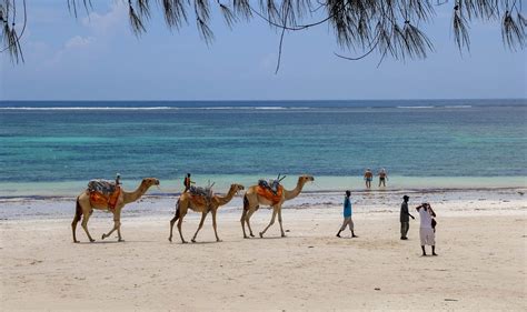 6 Best Beaches in Kenya (Sandy and Free) - Smart Nomad Kenya