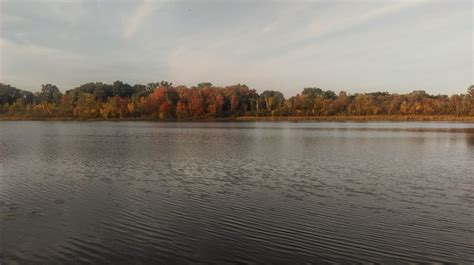 Lifelong Michigander: My Michigan Home is Where the Lakes Are